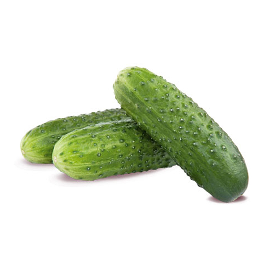 Salatalık